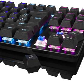 Klávesnica White Shark SPARTAN, US layout, Blue Switch čierna

 obrázok produktu 3 z 5
