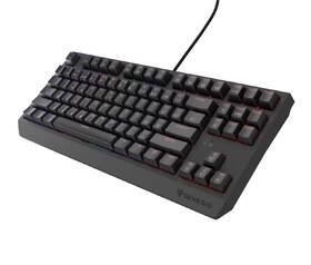 Klávesnica Genesis THOR 230, TKL, RGB, Outemu Red, CZ-SK layout čierna

 obrázok produktu 15 z 19