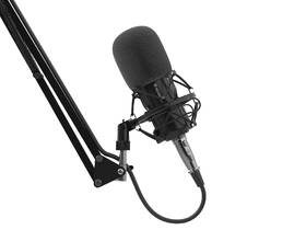 Mikrofón Genesis RADIUM 300, XLR čierny

 obrázok produktu 6 z 12