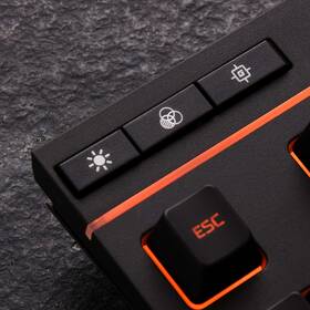 Klávesnica HyperX Alloy Core RGB, US čierna

 obrázok produktu 11 z 12