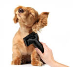 Starostlivosť o srsť