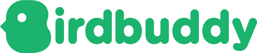 Bird Buddy